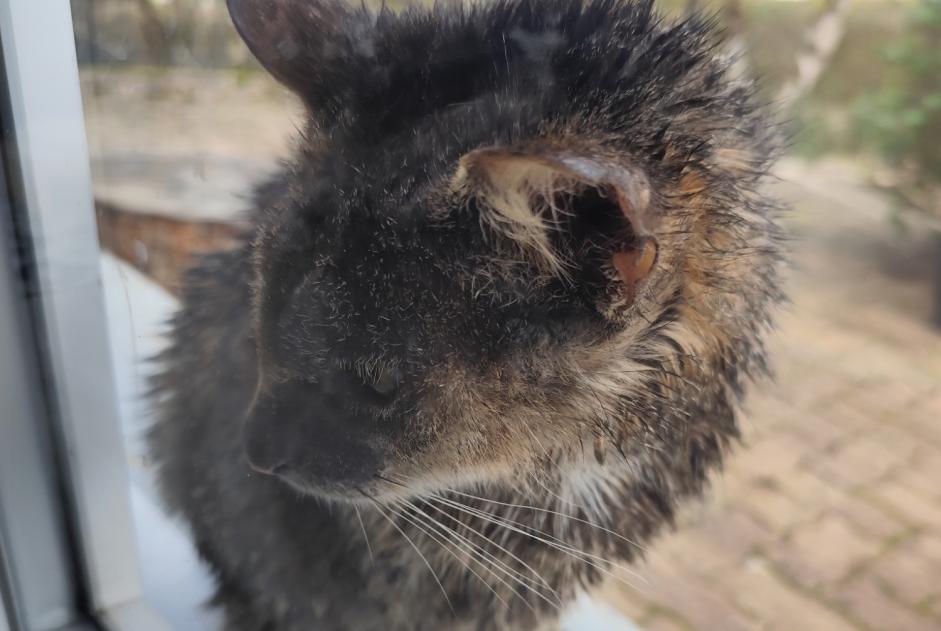 Ontdekkingsalarm Kat  Onbekend Pouilley-les-Vignes Frankrijk